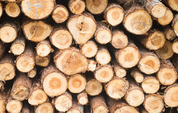 Дрова  производства компании Мебелькласс.